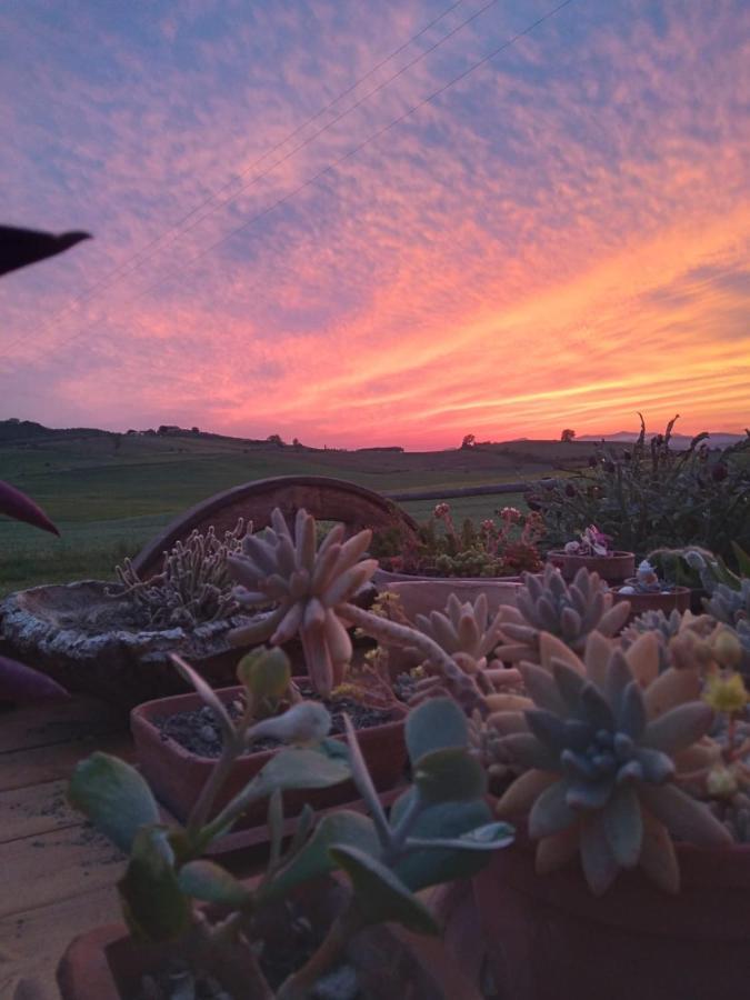 Agriturismo Enjoy Sunset 신기아노 외부 사진