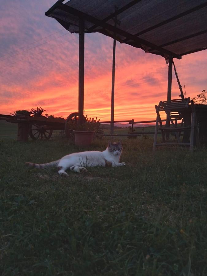 Agriturismo Enjoy Sunset 신기아노 외부 사진